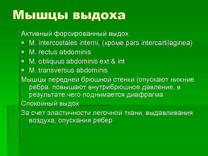 Мышцы выдоха Активный форсированный выдох § M. intercostales interni, (кроме pars intercartilaginea) § M.