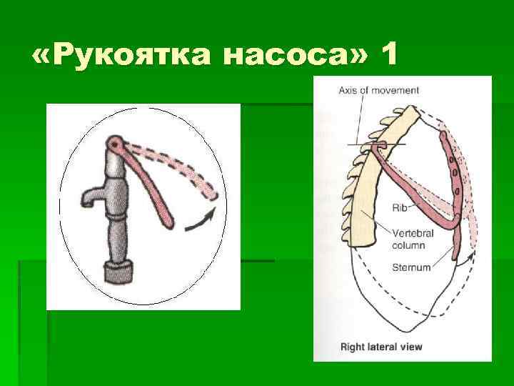  «Рукоятка насоса» 1 