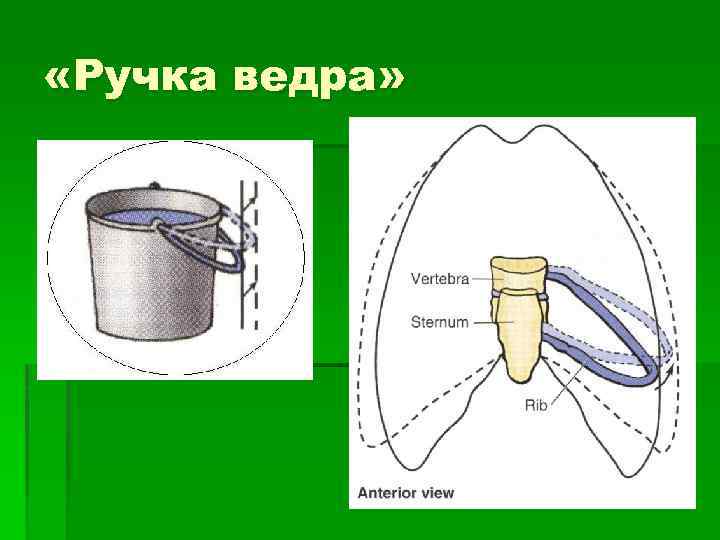 Ведро с ручками. Ручка от ведра. Как называются ручки ведра.