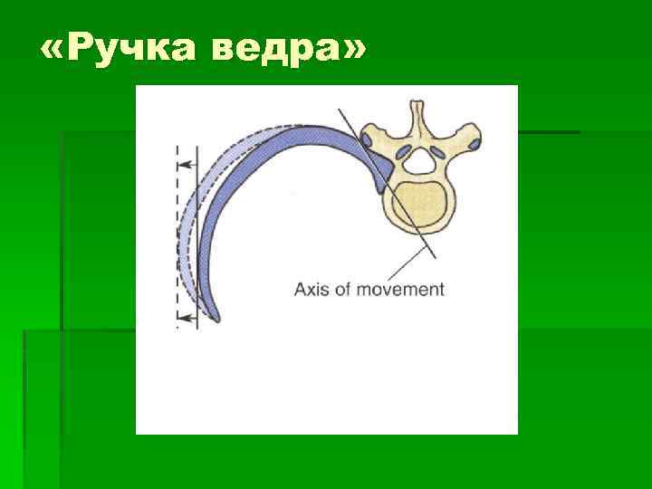  «Ручка ведра» 