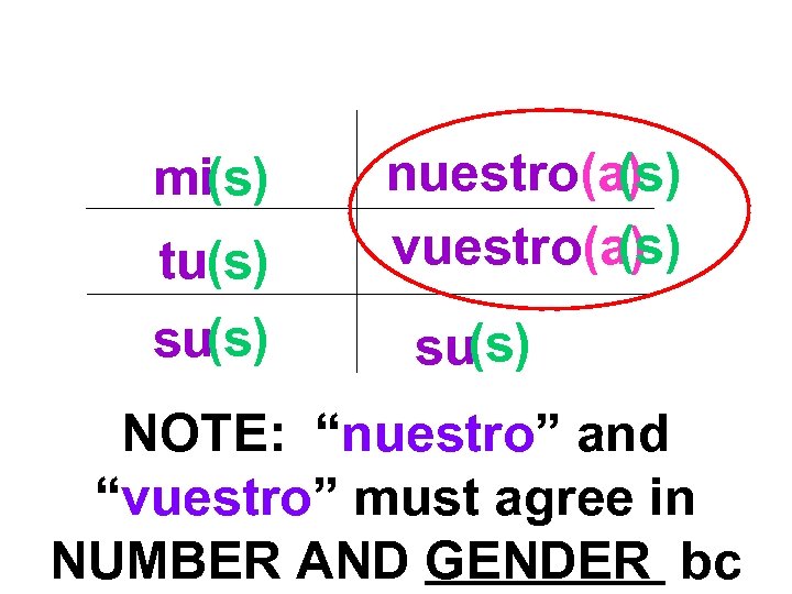 mi(s) tu(s) su(s) nuestro(a) (s) vuestro(a) su(s) NOTE: “nuestro” and “vuestro” must agree in