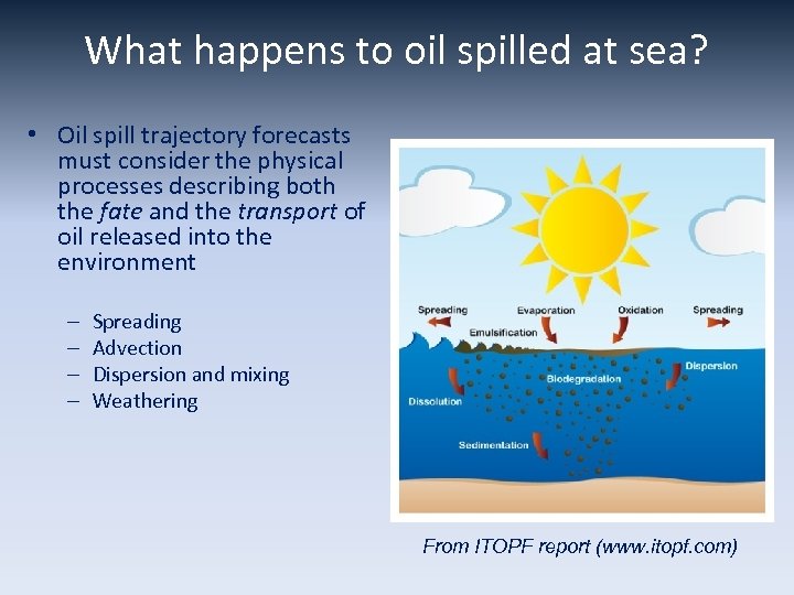 What happens to oil spilled at sea? • Oil spill trajectory forecasts must consider