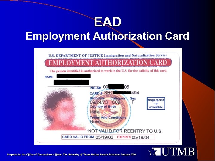 EAD Employment Authorization Card Prepared by the Office of International Affairs, The University of