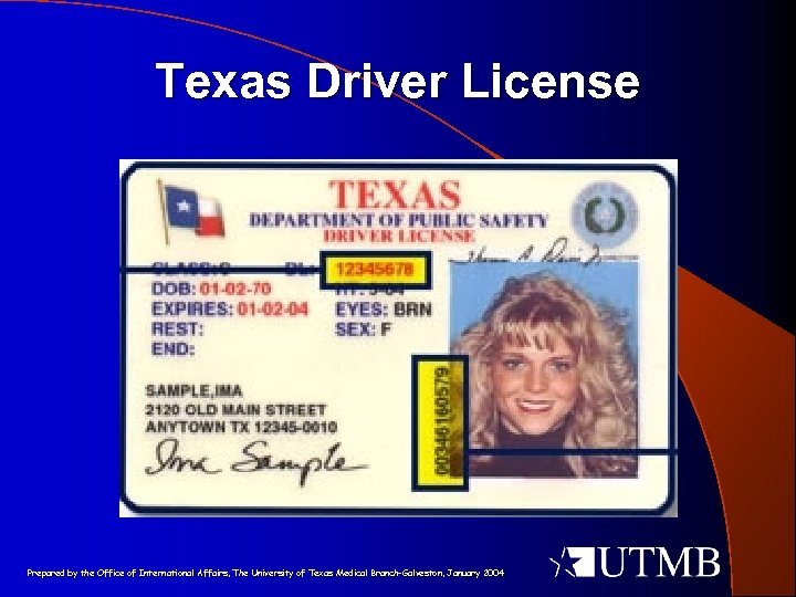 Texas Driver License Prepared by the Office of International Affairs, The University of Texas