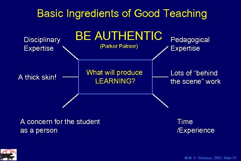 Basic Ingredients of Good Teaching Disciplinary Expertise A thick skin! BE AUTHENTIC (Parker Palmer)