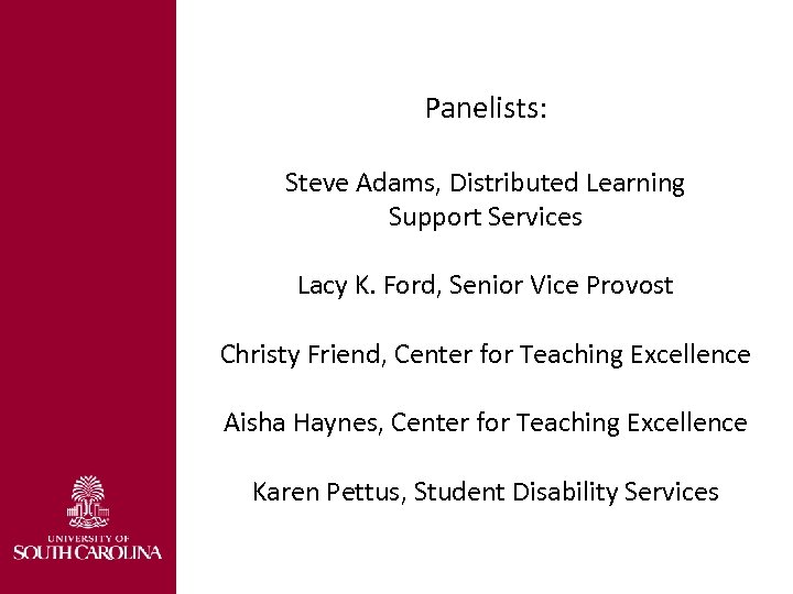Panelists: Steve Adams, Distributed Learning Support Services Lacy K. Ford, Senior Vice Provost Christy