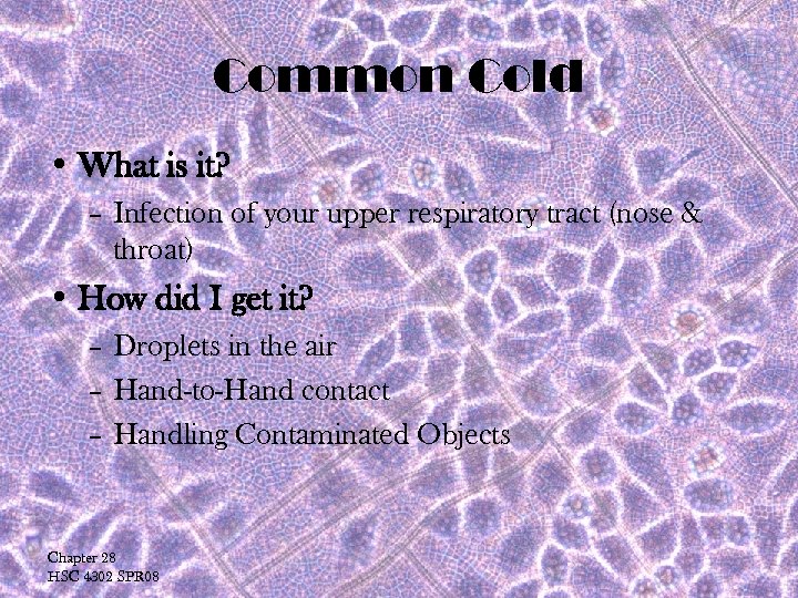 Common Cold • What is it? – Infection of your upper respiratory tract (nose