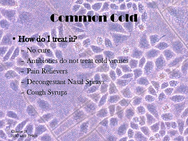 Common Cold • How do I treat it? – No cure – Antibiotics do