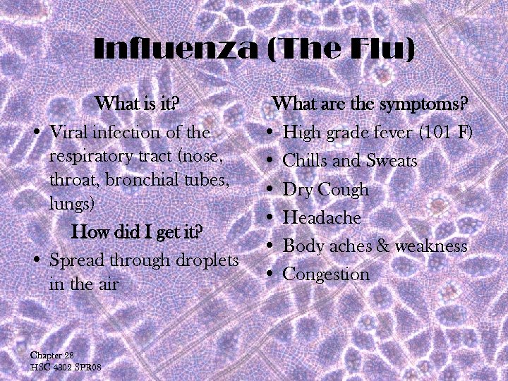Influenza (The Flu) What is it? • Viral infection of the respiratory tract (nose,