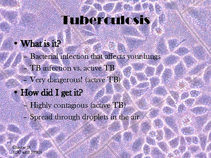 Tuberculosis • What is it? – Bacterial infection that affects your lungs – TB
