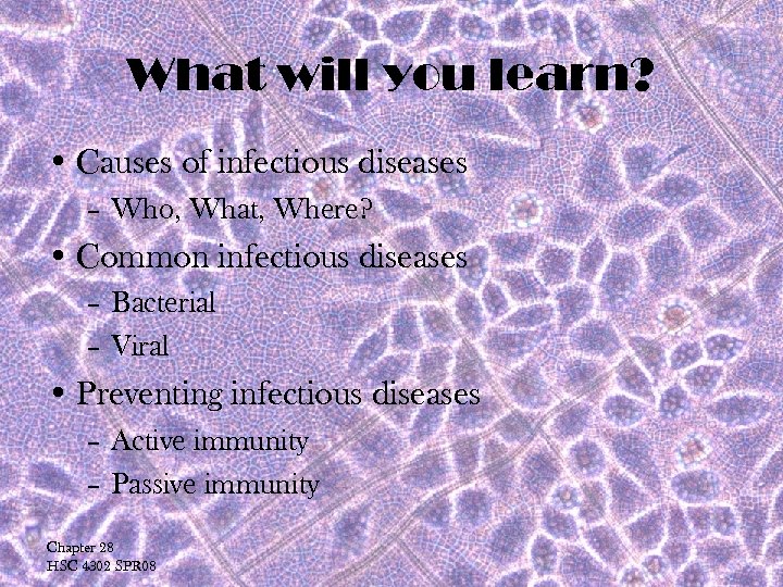 What will you learn? • Causes of infectious diseases – Who, What, Where? •