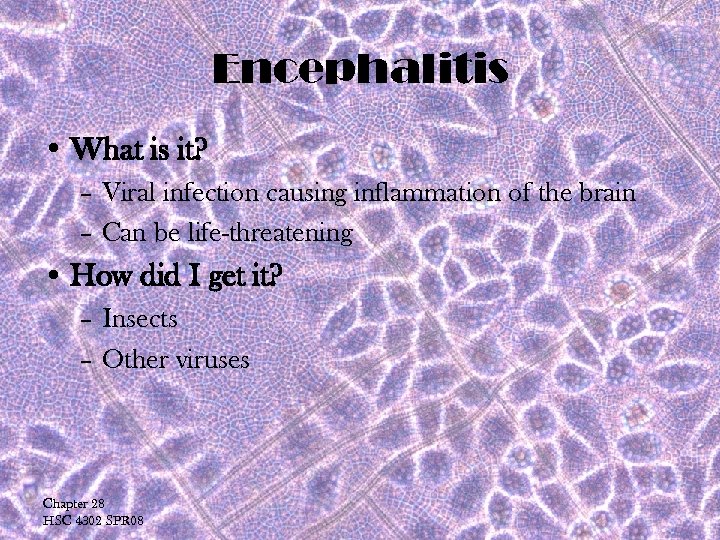 Encephalitis • What is it? – Viral infection causing inflammation of the brain –