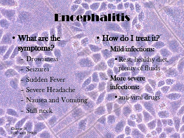 Encephalitis • What are the symptoms? – Drowsiness – Seizures – Sudden Fever –