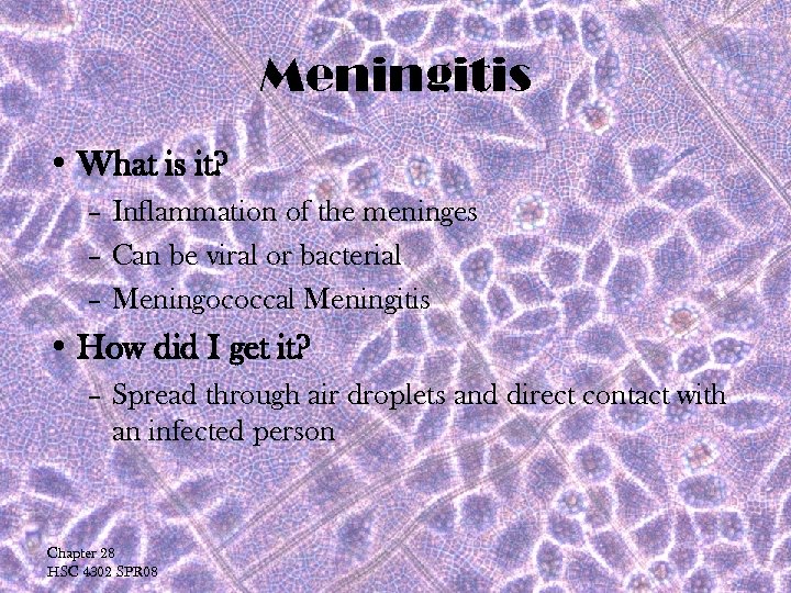 Meningitis • What is it? – Inflammation of the meninges – Can be viral