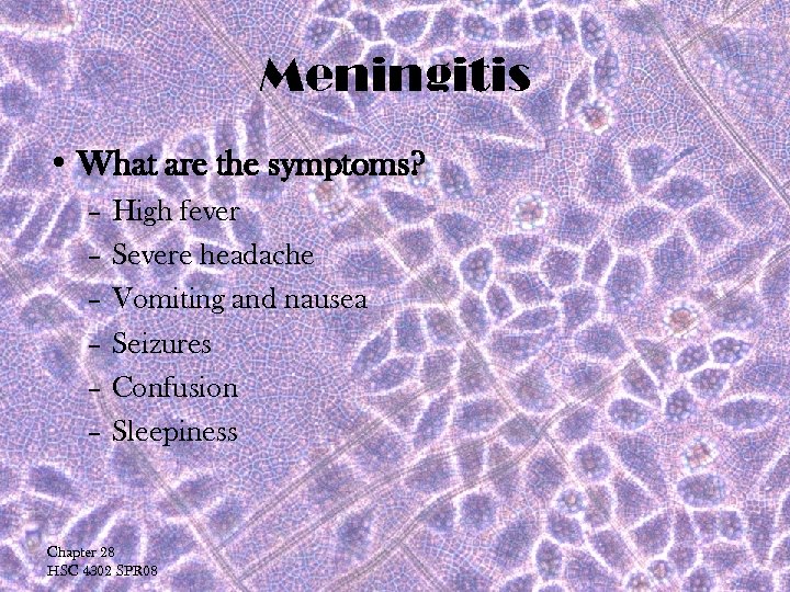 Meningitis • What are the symptoms? – High fever – Severe headache – Vomiting