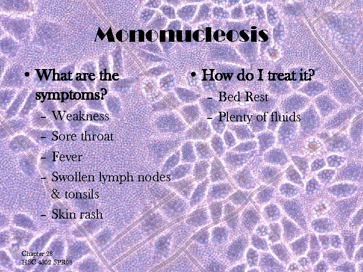 Mononucleosis • What are the symptoms? – Weakness – Sore throat – Fever –