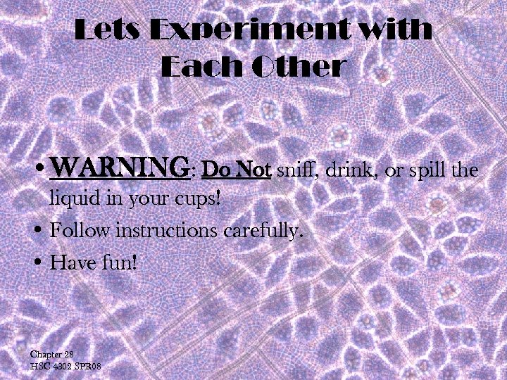 Lets Experiment with Each Other • WARNING: Do Not sniff, drink, or spill the