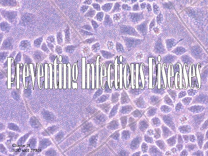 Chapter 28 HSC 4302 SPR 08 