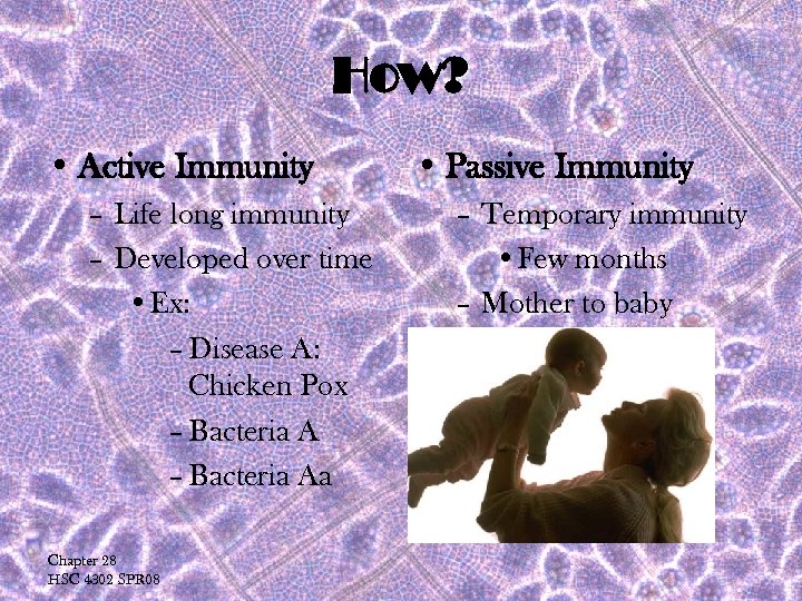 How? • Active Immunity – Life long immunity – Developed over time • Ex: