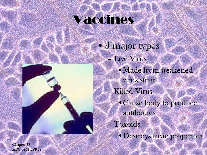 Vaccines • 3 major types – Live Virus • Made from weakened virus strain
