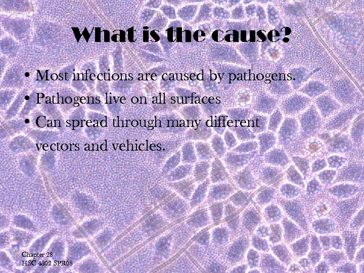 What is the cause? • Most infections are caused by pathogens. • Pathogens live