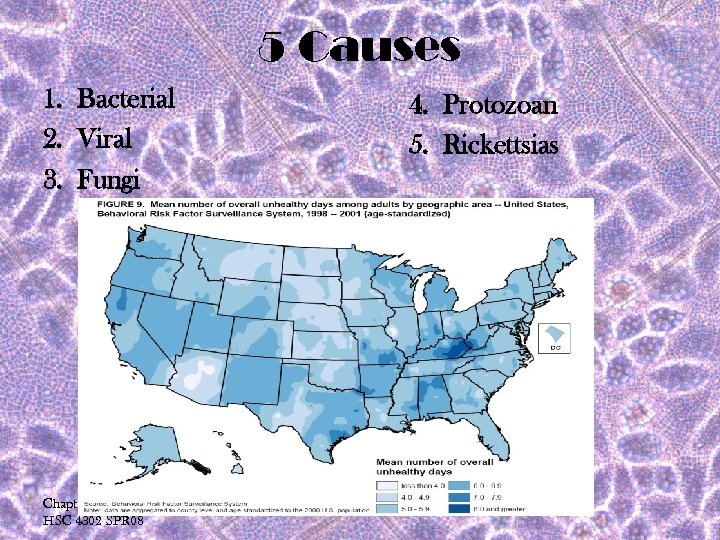 5 Causes 1. Bacterial 2. Viral 3. Fungi Chapter 28 HSC 4302 SPR 08