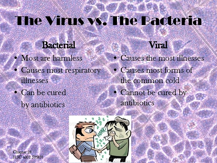The Virus vs. The Bacterial Viral • Most are harmless • Causes most respiratory