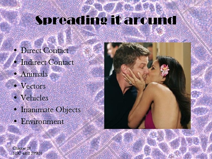 Spreading it around • Direct Contact • Indirect Contact • Animals • Vectors •