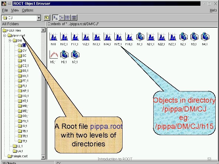 A Root file pippa. root with two levels of directories Introduction to ROOT Objects