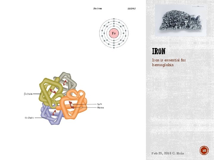 Iron is essential for hemoglobin Feb 29, 2016 C. Hsia 10 