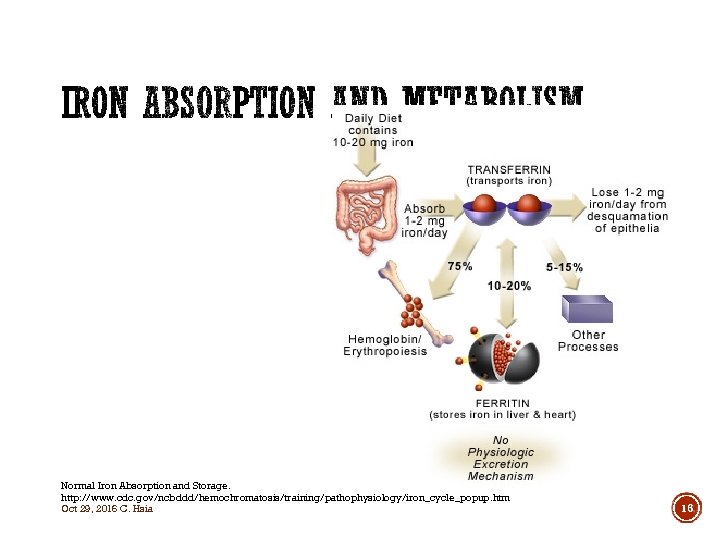Normal Iron Absorption and Storage. http: //www. cdc. gov/ncbddd/hemochromatosis/training/pathophysiology/iron_cycle_popup. htm Oct 29, 2016 C.