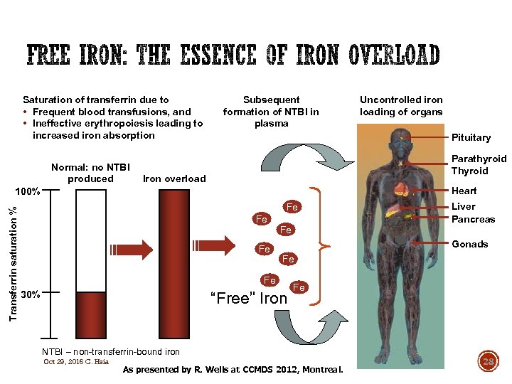 Saturation of transferrin due to • Frequent blood transfusions, and • Ineffective erythropoiesis leading