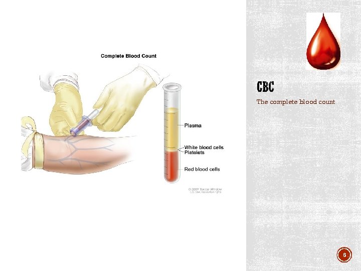 The complete blood count 6 