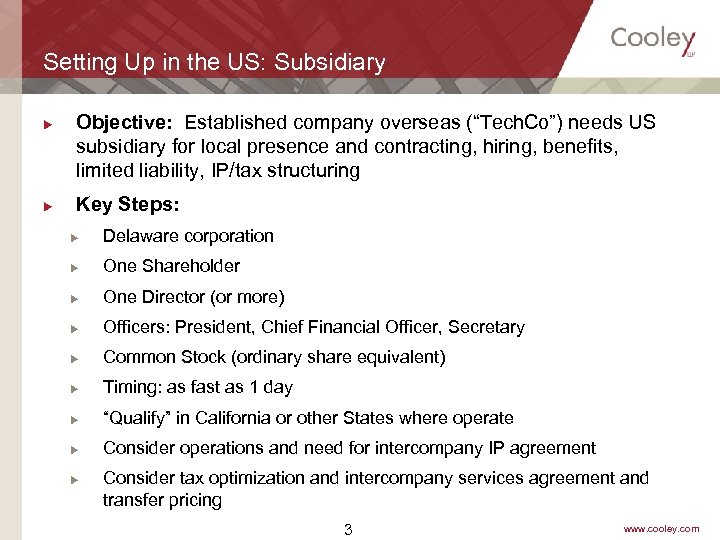 Setting Up in the US: Subsidiary u u Objective: Established company overseas (“Tech. Co”)
