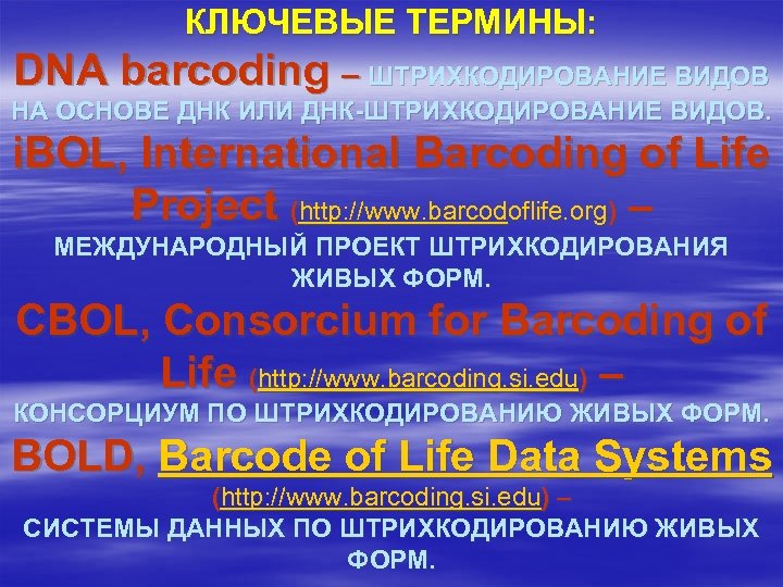 КЛЮЧЕВЫЕ ТЕРМИНЫ: DNA barcoding – ШТРИХКОДИРОВАНИЕ ВИДОВ НА ОСНОВЕ ДНК ИЛИ ДНК-ШТРИХКОДИРОВАНИЕ ВИДОВ. i.