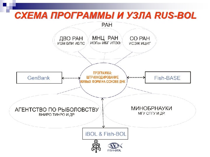 СХЕМА ПРОГРАММЫ И УЗЛА RUS-BOL 