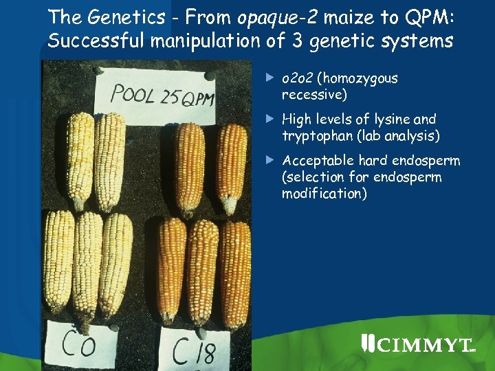 Quality Protein Maize Progress and Prospects G N