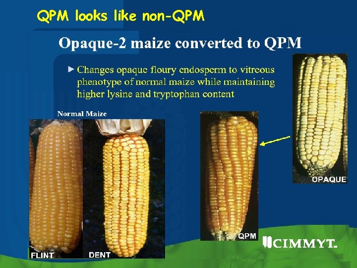 QPM looks like non-QPM 