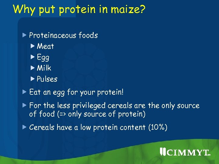 Why put protein in maize? Proteinaceous foods Meat Egg Milk Pulses Eat an egg