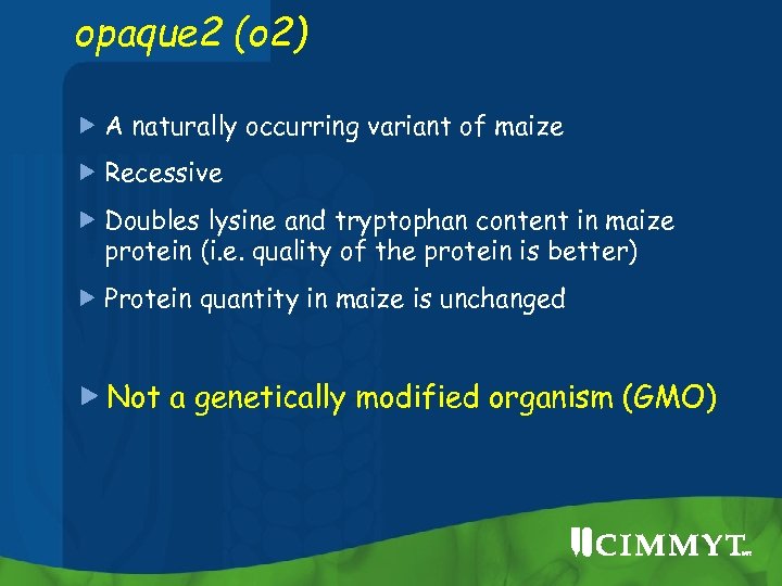 opaque 2 (o 2) A naturally occurring variant of maize Recessive Doubles lysine and