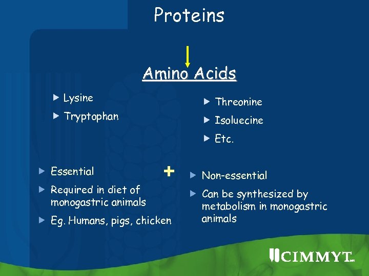 Proteins Amino Acids Lysine Threonine Tryptophan Isoluecine Etc. Essential Required in diet of monogastric