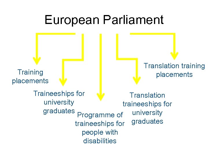 European Parliament Training placements Translation training placements Traineeships for Translation university traineeships for graduates