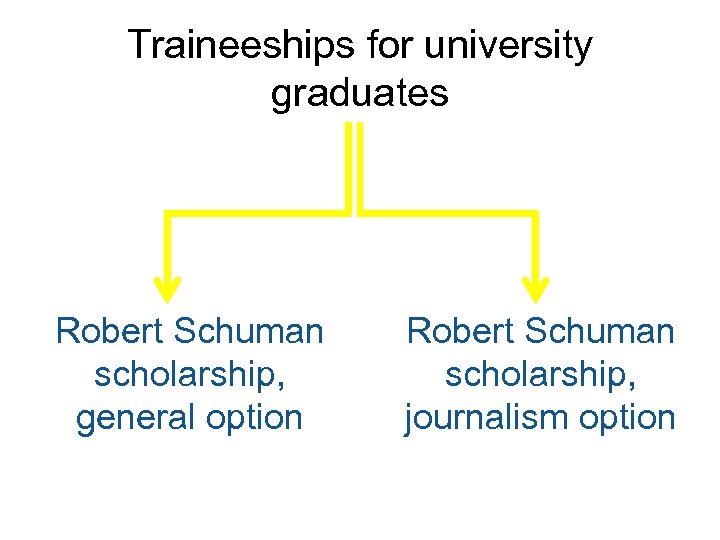 Traineeships for university graduates Robert Schuman scholarship, general option Robert Schuman scholarship, journalism option