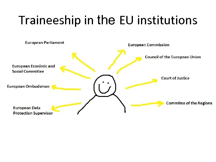 Traineeship in the EU institutions 