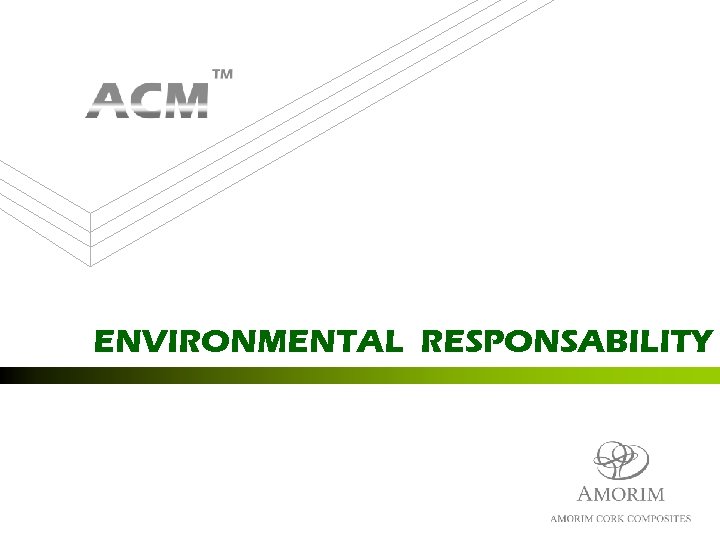 ENVIRONMENTAL RESPONSABILITY 