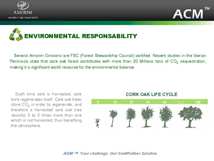 ENVIRONMENTAL RESPONSABILITY Several Amorim Divisions are FSC (Forest Stewardship Council) certified. Recent studies in