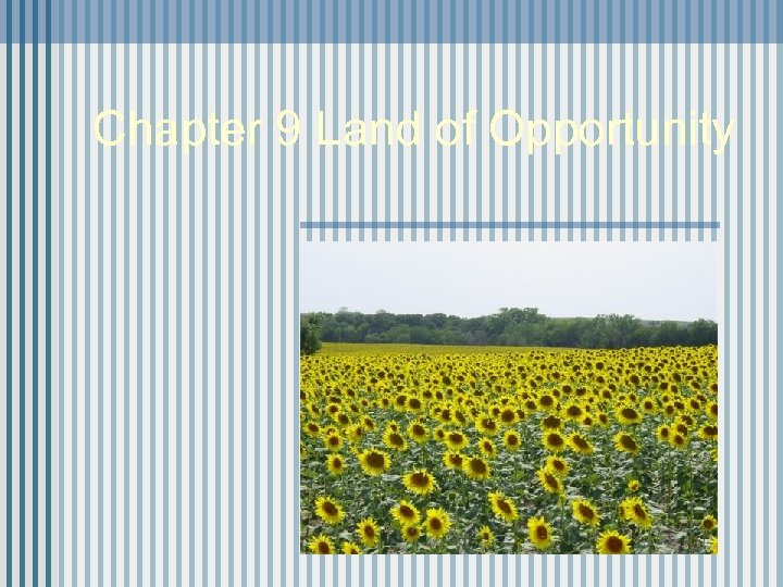 Chapter 9 Land of Opportunity 