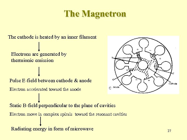 The Magnetron The cathode is heated by an inner filament Electrons are generated by