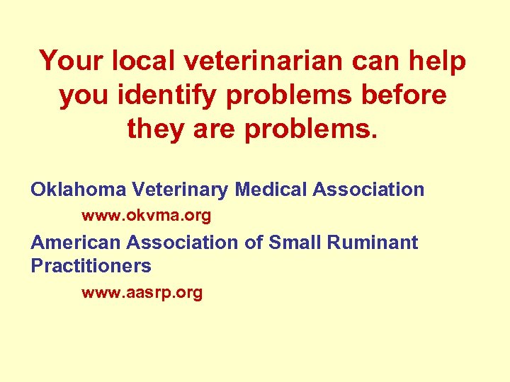 Your local veterinarian can help you identify problems before they are problems. Oklahoma Veterinary