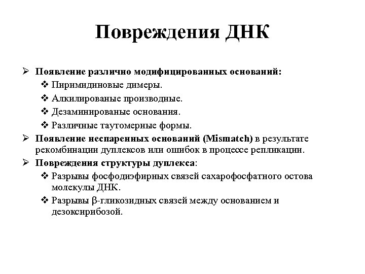Повреждения ДНК Ø Появление различно модифицированных оснований: v Пиримидиновые димеры. v Алкилированые производные. v